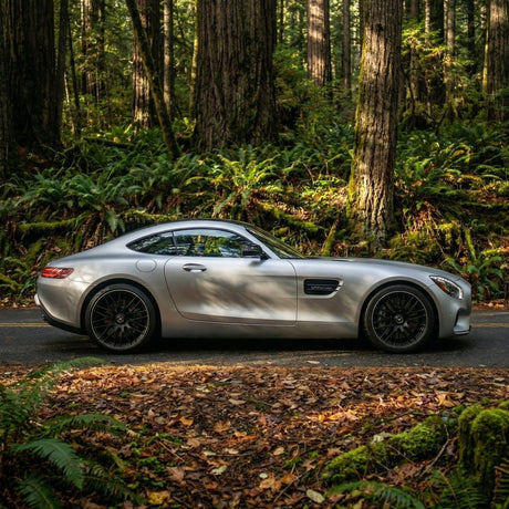 A silver sports car with Satin Aluminum Mercury SelfRepair Nano-Coated PPF is parked on a forest road, sunlight filtering through trees and ferns to highlight the ochrana karosérie from advanced coatings.